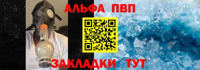 шишки Донской