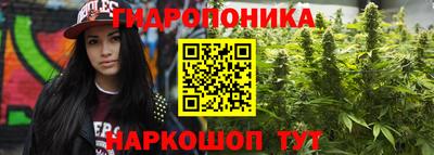 гидра Дубна