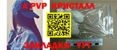 шишки Донской